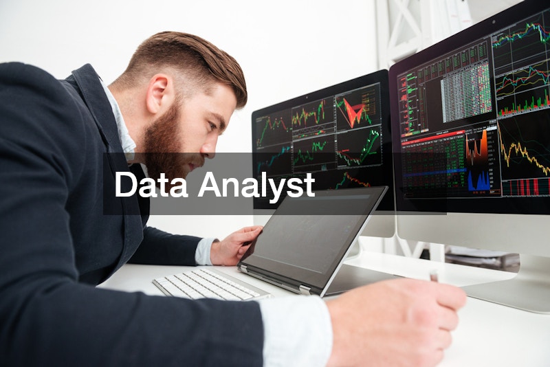 data analyst